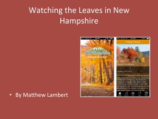 Watching 
the 
Leaves 
in 
New 
Hampshire 
• By 
Ma7hew 
Lambert 
 