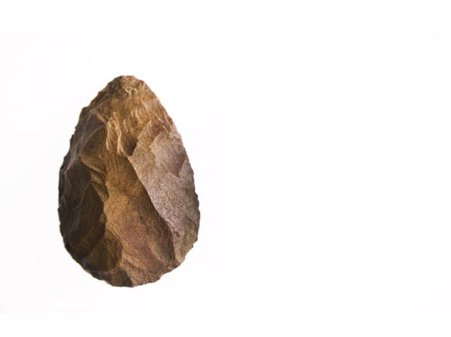 Matthew ridley presentation[1] | PPT