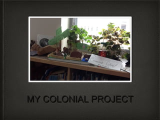MY COLONIAL PROJECT
 