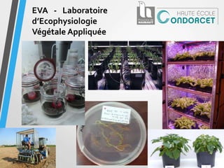 EVA - Laboratoire
d’Ecophysiologie
Végétale Appliquée
 