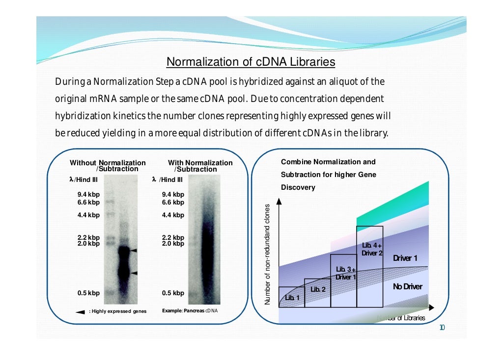 Approaches to cDNA Cloning and Analysis