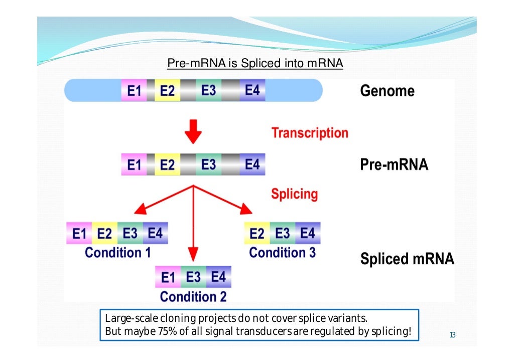 Approaches to cDNA Cloning and Analysis