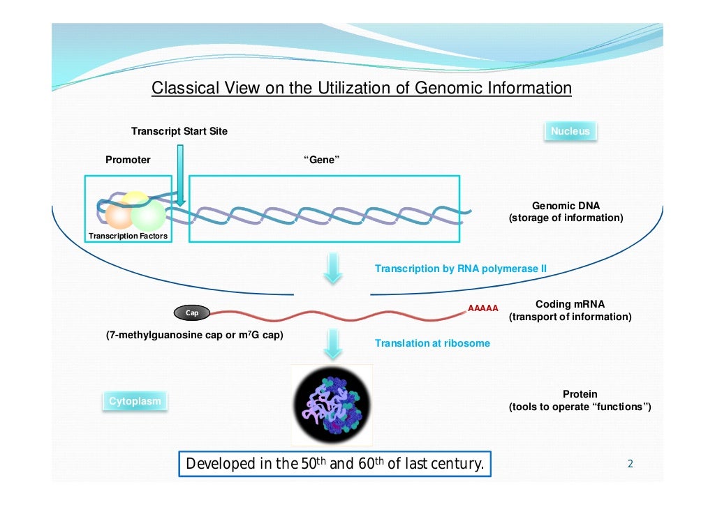 Approaches to cDNA Cloning and Analysis