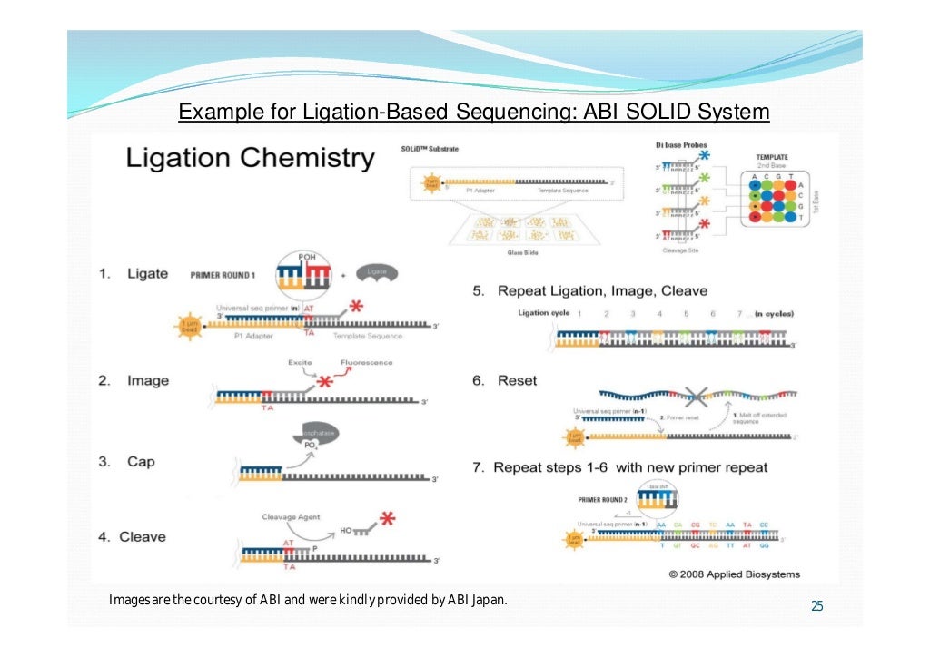 Approaches to cDNA Cloning and Analysis
