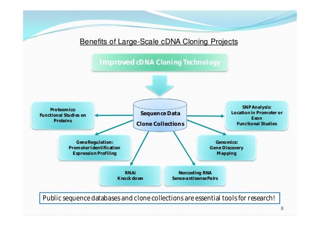 Cdna Cloning And Sequence Analysis
