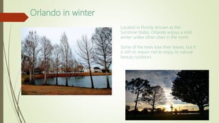 Orlando: 
