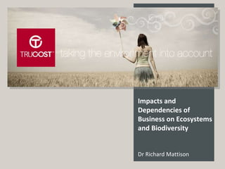 Impacts and Dependencies of Business on Ecosystems and Biodiversity Dr Richard Mattison 