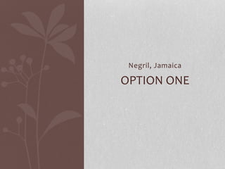 Negril, Jamaica
OPTION ONE
 