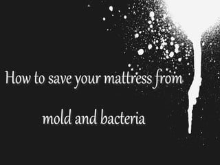 Mattress Cleaning 