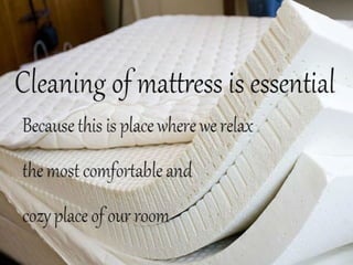 Mattress Cleaning 