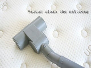 Mattress Cleaning 
