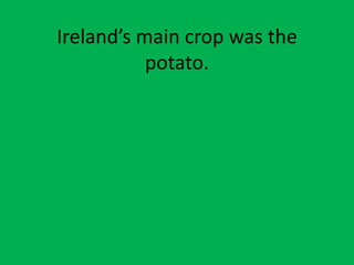 Ireland’s main crop was the
potato.
 