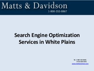 Tel. 1-800-353-8867,
1-914-220-6576
www.mattsdavidson.com
Search Engine Optimization
Services in White Plains
 
