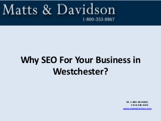 Why SEO For Your Business in
Westchester?
Tel. 1-800-353-8867,
1-914-220-6576
www.mattsdavidson.com

 