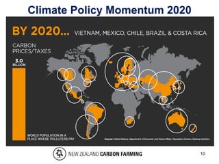 Climate Policy Momentum 2020
10
 