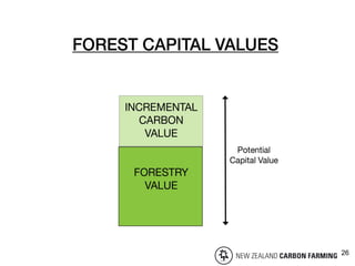 Confidential – Property of NZ Carbon Farming 31
26
 