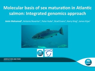 Molecular	
  basis	
  of	
  sex	
  matura1on	
  in	
  Atlan1c	
  
salmon:	
  Integrated	
  genomics	
  approach	
  
Amin	
  Mohamed1,	
  Antonio	
  Reverter1,	
  Peter	
  Kube2,	
  Brad	
  Evans3,	
  Harry	
  King2,	
  James	
  Kijas1	
  
AGRICULTURE	
  AND	
  FOOD	
  
 