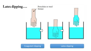 Solvent Dipping Maturation, Drying and vulcanization.pdf