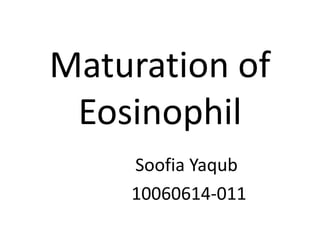 Maturation of
Eosinophil
Soofia Yaqub
10060614-011
 