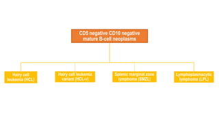 CD5 negative CD10 negative
mature B-cell neoplasms
Hairy cell
leukemia (HCL)
Hairy cell leukemia
variant (HCL-v)
Splenic marginal zone
lymphoma (SMZL)
Lymphoplasmacytic
lymphoma (LPL)
 