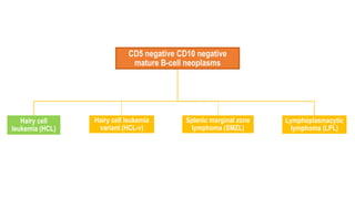 CD5 negative CD10 negative
mature B-cell neoplasms
Hairy cell
leukemia (HCL)
Hairy cell leukemia
variant (HCL-v)
Splenic marginal zone
lymphoma (SMZL)
Lymphoplasmacytic
lymphoma (LPL)
 