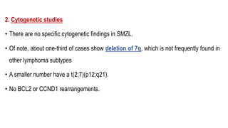 2. Cytogenetic studies
• There are no specific cytogenetic findings in SMZL.
• Of note, about one-third of cases show deletion of 7q, which is not frequently found in
other lymphoma subtypes
• A smaller number have a t(2;7)(p12;q21).
• No BCL2 or CCND1 rearrangements.
BCL2-IGH
C-MYC
IGH-BCL2
 