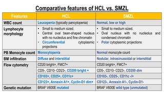 Comparative features of HCL vs. SMZL
Features HCL SMZL
WBC count Leucopenia (typically pancytopenia) Normal, low or high
Lymphocyte
morphology
• Small to medium sized.
• Central oval bean-shaped nucleus
with no nucleolus and fine chromatin
• Circumferential cytoplasmic
projections
• Small to medium sized.
• Oval nucleus with no nucleolus and
condensed chromatin
• Polar cytoplasmic projections
PB Monocyte count Monocytopenia Normal monocyte count
BM infiltration Diffuse and interstitial Nodular, intrasinusoidal or interstitial
Flow cytometry CD20 bright+, FMC7+ CD20 bright+, FMC7+
CD5-, CD10- CD23-, CD200 bright + CD5-, CD10- CD23-, CD200 dim
CD103+, CD25+, CD11c+ CD103-, CD25-, CD11c -/+
CD123+, Annexin A1+, Cyclin-D1 dim+ CD123-, Annexin A1-, Cyclin-D1-
Genetic mutation BRAF V600E mutated BRAF V600E wild type (unmutated)
 