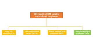 CD5 negative CD10 negative
mature B-cell neoplasms
Hairy cell
leukemia (HCL)
Hairy cell leukemia
variant (HCL-v)
Splenic marginal zone
lymphoma (SMZL)
Lymphoplasmacytic
lymphoma (LPL)
 