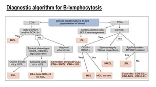 Diagnostic algorithm for B-lymphocytosis
 