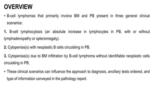 OVERVIEW
• B-cell lymphomas that primarily involve BM and PB present in three general clinical
scenarios:
1. B-cell lymphocytosis (an absolute increase in lymphocytes in PB, with or without
lymphadenopathy or splenomegaly).
2. Cytopenias(s) with neoplastic B cells circulating in PB.
3. Cytopenias(s) due to BM infiltration by B-cell lymphoma without identifiable neoplastic cells
circulating in PB.
• These clinical scenarios can influence the approach to diagnosis, ancillary tests ordered, and
type of information conveyed in the pathology report.
 