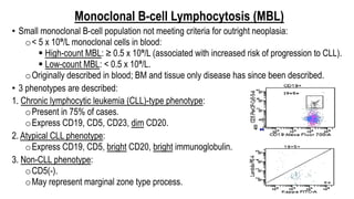 Monoclonal B-cell Lymphocytosis (MBL)
• Small monoclonal B-cell population not meeting criteria for outright neoplasia:
o< 5 x 10⁹/L monoclonal cells in blood:
§ High-count MBL: ≥ 0.5 x 10⁹/L (associated with increased risk of progression to CLL).
§ Low-count MBL: < 0.5 x 10⁹/L.
oOriginally described in blood; BM and tissue only disease has since been described.
• 3 phenotypes are described:
1. Chronic lymphocytic leukemia (CLL)-type phenotype:
oPresent in 75% of cases.
oExpress CD19, CD5, CD23, dim CD20.
2. Atypical CLL phenotype:
oExpress CD19, CD5, bright CD20, bright immunoglobulin.
3. Non-CLL phenotype:
oCD5(-).
oMay represent marginal zone type process.
 