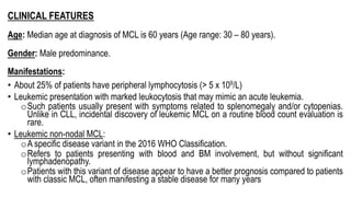 CLINICAL FEATURES
Age: Median age at diagnosis of MCL is 60 years (Age range: 30 – 80 years).
Gender: Male predominance.
Manifestations:
• About 25% of patients have peripheral lymphocytosis (> 5 x 109/L)
• Leukemic presentation with marked leukocytosis that may mimic an acute leukemia.
oSuch patients usually present with symptoms related to splenomegaly and/or cytopenias.
Unlike in CLL, incidental discovery of leukemic MCL on a routine blood count evaluation is
rare.
• Leukemic non-nodal MCL:
oA specific disease variant in the 2016 WHO Classification.
oRefers to patients presenting with blood and BM involvement, but without significant
lymphadenopathy.
oPatients with this variant of disease appear to have a better prognosis compared to patients
with classic MCL, often manifesting a stable disease for many years
 