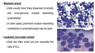 • Blastoid variant:
oCells usually have finely dispersed chromatin
and inconspicuous nucleoli resembling
lymphoblasts.
oIn other cases, prominent nucleoli resembling
myeloblasts or prolymphocytes may be seen.
• Leukemic non-nodal variant:
oCells are often small and can resemble the
cells of CLL.
 