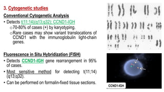 3. Cytogenetic studies
Conventional Cytogenetic Analysis
• Detects t(11;14)(q13;q32); CCND1-IGH
o70-80% of cases (+) by karyotyping.
oRare cases may show variant translocations of
CCND1 with the immunoglobulin light-chain
genes.
Fluorescence in Situ Hybridization (FISH)
• Detects CCND1-IGH gene rearrangement in 95%
of cases.
• Most sensitive method for detecting t(11;14)
(q13;q32).
• Can be performed on formalin-fixed tissue sections.
CCND1-IGH
 