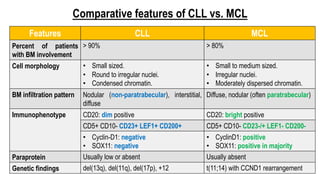 Comparative features of CLL vs. MCL
Features CLL MCL
Percent of patients
with BM involvement
> 90% > 80%
Cell morphology • Small sized.
• Round to irregular nuclei.
• Condensed chromatin.
• Small to medium sized.
• Irregular nuclei.
• Moderately dispersed chromatin.
BM infiltration pattern Nodular (non-paratrabecular), interstitial,
diffuse
Diffuse, nodular (often paratrabecular)
Immunophenotype CD20: dim positive CD20: bright positive
CD5+ CD10- CD23+ LEF1+ CD200+ CD5+ CD10- CD23-/+ LEF1- CD200-
• Cyclin-D1: negative
• SOX11: negative
• CyclinD1: positive
• SOX11: positive in majority
Paraprotein Usually low or absent Usually absent
Genetic findings del(13q), del(11q), del(17p), +12 t(11;14) with CCND1 rearrangement
 