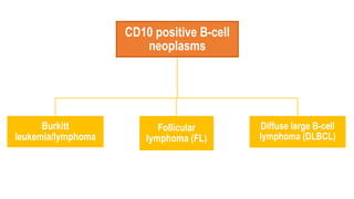 CD10 positive B-cell
neoplasms
Burkitt
leukemia/lymphoma
Follicular
lymphoma (FL)
Diffuse large B-cell
lymphoma (DLBCL)
 
