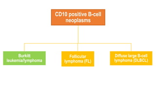 CD10 positive B-cell
neoplasms
Burkitt
leukemia/lymphoma
Follicular
lymphoma (FL)
Diffuse large B-cell
lymphoma (DLBCL)
 