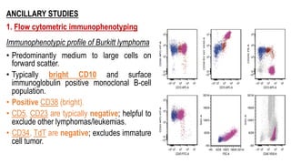 ANCILLARY STUDIES
1. Flow cytometric immunophenotyping
Immunophenotypic profile of Burkitt lymphoma
• Predominantly medium to large cells on
forward scatter.
• Typically bright CD10 and surface
immunoglobulin positive monoclonal B-cell
population.
• Positive CD38 (bright).
• CD5, CD23 are typically negative; helpful to
exclude other lymphomas/leukemias.
• CD34, TdT are negative; excludes immature
cell tumor.
 