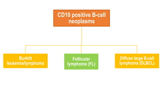 CD10 positive B-cell
neoplasms
Burkitt
leukemia/lymphoma
Follicular
lymphoma (FL)
Diffuse large B-cell
lymphoma (DLBCL)
 