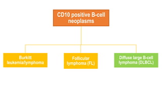 CD10 positive B-cell
neoplasms
Burkitt
leukemia/lymphoma
Follicular
lymphoma (FL)
Diffuse large B-cell
lymphoma (DLBCL)
 