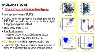 ANCILLARY STUDIES
1. Flow cytometric immunophenotyping
Immunophenotyping of DLBCL
• DLBCL cells will appear in the blast gate on the
FSC/SSC plot and may be missed in the analysis
if a lymphoid gate is utilized.
• They show bright CD45.
• Pan B-cell markers:
oStrong CD20, FMC7, CD79a and CD22.
oSome cases may show dim CD19.
• CD10 positive in GCB type not in ABC type
• Restricted light chain expression is usually dim to
medium in intensity but in some cases is absent.
 