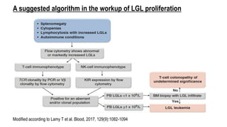 Modified according to Lamy T et al. Blood, 2017, 129(9):1082-1094
A suggested algorithm in the workup of LGL proliferation
 