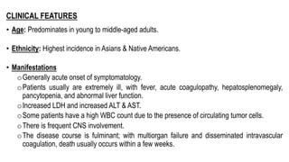 CLINICAL FEATURES
• Age: Predominates in young to middle-aged adults.
• Ethnicity: Highest incidence in Asians & Native Americans.
• Manifestations
oGenerally acute onset of symptomatology.
oPatients usually are extremely ill, with fever, acute coagulopathy, hepatosplenomegaly,
pancytopenia, and abnormal liver function.
oIncreased LDH and increased ALT & AST.
oSome patients have a high WBC count due to the presence of circulating tumor cells.
oThere is frequent CNS involvement.
oThe disease course is fulminant; with multiorgan failure and disseminated intravascular
coagulation, death usually occurs within a few weeks.
 
