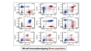 NK-cell immunophenotyping (Brown population)
 