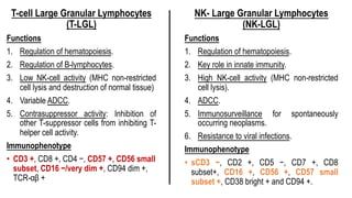 T-cell Large Granular Lymphocytes
(T-LGL)
Functions
1. Regulation of hematopoiesis.
2. Regulation of B-lymphocytes.
3. Low NK-cell activity (MHC non-restricted
cell lysis and destruction of normal tissue)
4. Variable ADCC.
5. Contrasuppressor activity: Inhibition of
other T-suppressor cells from inhibiting T-
helper cell activity.
Immunophenotype
• CD3 +, CD8 +, CD4 −, CD57 +, CD56 small
subset, CD16 −/very dim +, CD94 dim +,
TCR-αβ +
NK- Large Granular Lymphocytes
(NK-LGL)
Functions
1. Regulation of hematopoiesis.
2. Key role in innate immunity.
3. High NK-cell activity (MHC non-restricted
cell lysis).
4. ADCC.
5. Immunosurveillance for spontaneously
occurring neoplasms.
6. Resistance to viral infections.
Immunophenotype
• sCD3 −, CD2 +, CD5 −, CD7 +, CD8
subset+, CD16 +, CD56 +, CD57 small
subset +, CD38 bright + and CD94 +.
 
