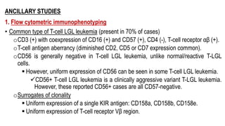ANCILLARY STUDIES
1. Flow cytometric immunophenotyping
• Common type of T-cell LGL leukemia (present in 70% of cases)
oCD3 (+) with coexpression of CD16 (+) and CD57 (+), CD4 (-), T-cell receptor αβ (+).
oT-cell antigen aberrancy (diminished CD2, CD5 or CD7 expression common).
oCD56 is generally negative in T-cell LGL leukemia, unlike normal/reactive T-LGL
cells.
§ However, uniform expression of CD56 can be seen in some T-cell LGL leukemia.
üCD56+ T-cell LGL leukemia is a clinically aggressive variant T-LGL leukemia.
However, these reported CD56+ cases are all CD57-negative.
oSurrogates of clonality
§ Uniform expression of a single KIR antigen: CD158a, CD158b, CD158e.
§ Uniform expression of T-cell receptor Vβ region.
 
