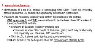 2. Immunohistochemistry
• Identification of T-cell LGL infiltrate is challenging since CD3+ T-cells are invariably
present in a normal BM and may be significantly increased in reactive BM.
• IHC stains are necessary to identify and confirm the presence of the infiltrate.
oCD3, granzyme B, and TIA1 are considered to be the basic three IHC markers to
identify a T-cell LGL infiltrate.
§ Granzyme B: Excellent to identify cytotoxic cells
üHowever, in about 30% T-cell LGL leukemia, granzyme B may be aberrantly
lost or partially lost. Therefore, TIA1 is necessary.
§ TIA1: In LGL, it shows dark, dot-like, and punctuate staining.
oCD4 and CD8 IHC can be helpful to show the predominance of CD8+ T-cells.
 