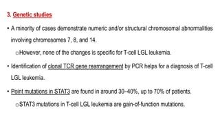 3. Genetic studies
• A minority of cases demonstrate numeric and/or structural chromosomal abnormalities
involving chromosomes 7, 8, and 14.
oHowever, none of the changes is specific for T-cell LGL leukemia.
• Identification of clonal TCR gene rearrangement by PCR helps for a diagnosis of T-cell
LGL leukemia.
• Point mutations in STAT3 are found in around 30–40%, up to 70% of patients.
oSTAT3 mutations in T-cell LGL leukemia are gain-of-function mutations.
 