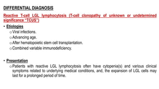 DIFFERENTIAL DIAGNOSIS
Reactive T-cell LGL lymphocytosis (T-cell clonopathy of unknown or undetermined
significance “TCUS”)
• Etiologies
oViral infections.
oAdvancing age.
oAfter hematopoietic stem cell transplantation.
oCombined variable immunodeficiency.
• Presentation
oPatients with reactive LGL lymphocytosis often have cytopenia(s) and various clinical
symptoms related to underlying medical conditions, and, the expansion of LGL cells may
last for a prolonged period of time.
 