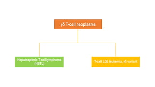 γδ T-cell neoplasms
Hepatosplenic T-cell lymphoma
(HSTL)
T-cell LGL leukemia, γδ variant
 